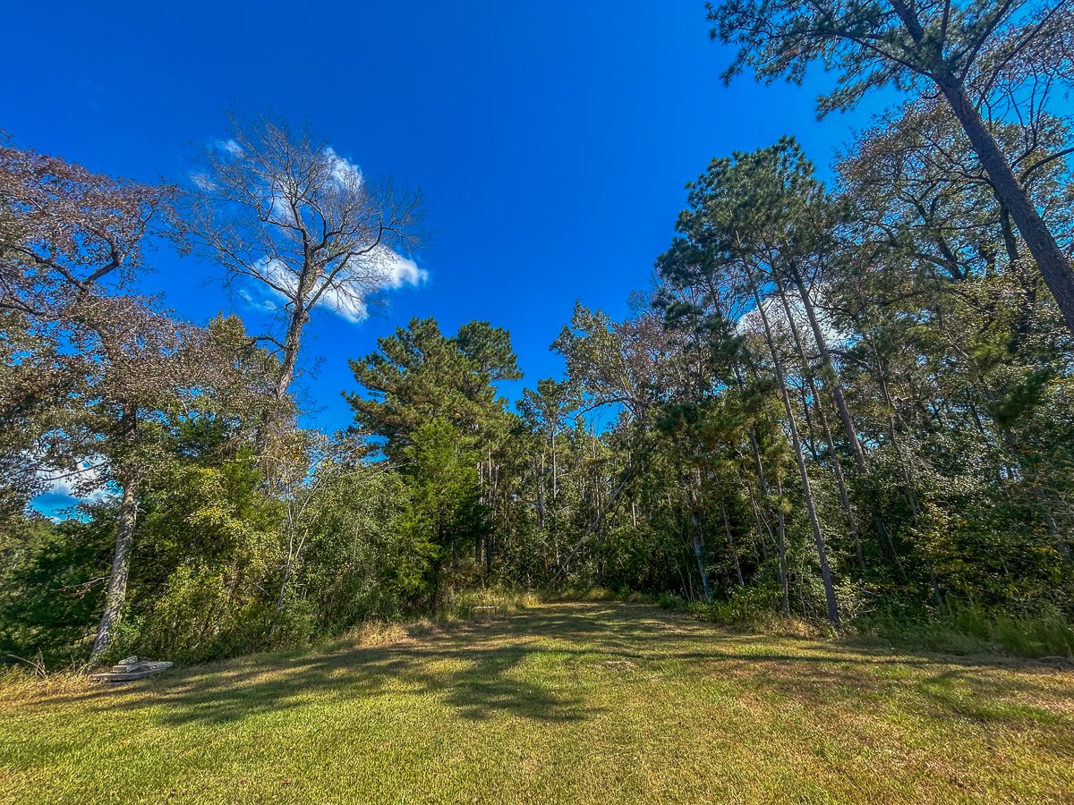 50 Neiderhoffer Subdivision Road Huntsville, TX 77340 - Photo 9 of 20 a view of swimming pool