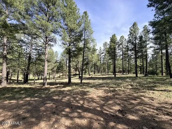 $895,000 | 3698 South Woodland Hills Drive, Unit 383, Flagstaff, AZ 86005