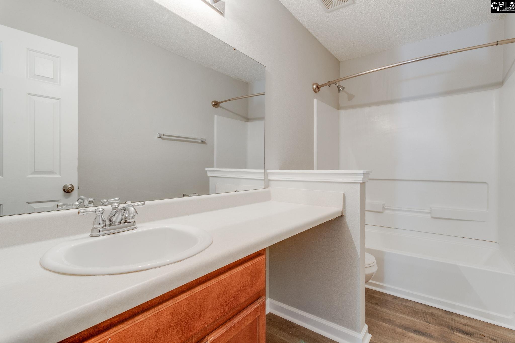5 Redbrush Court Chapin, SC 29036 - Photo 45 of 62