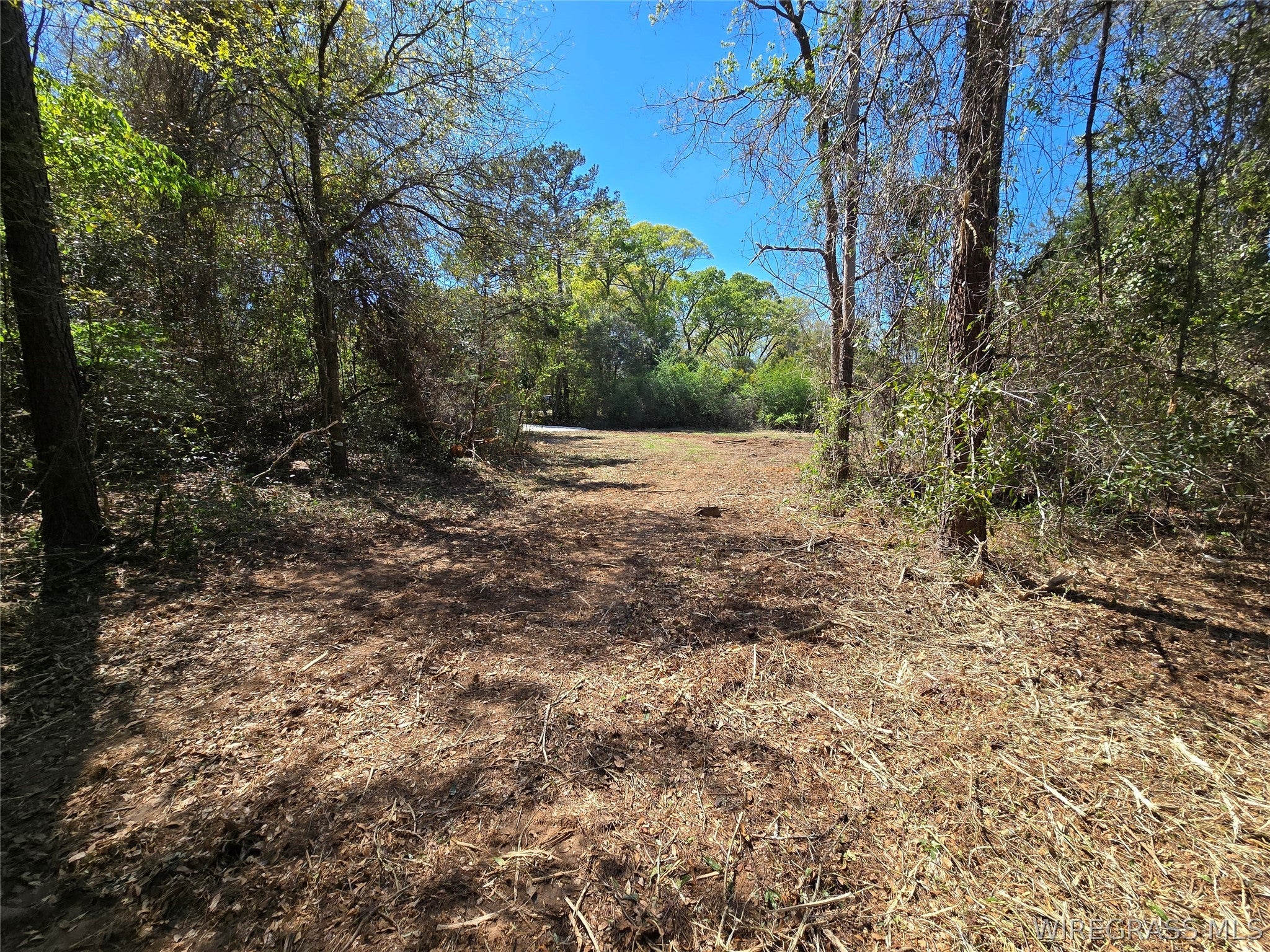 0 Will Logan Road Ozark, AL 36360 - Photo 24 of 44 Gallery Image 24
