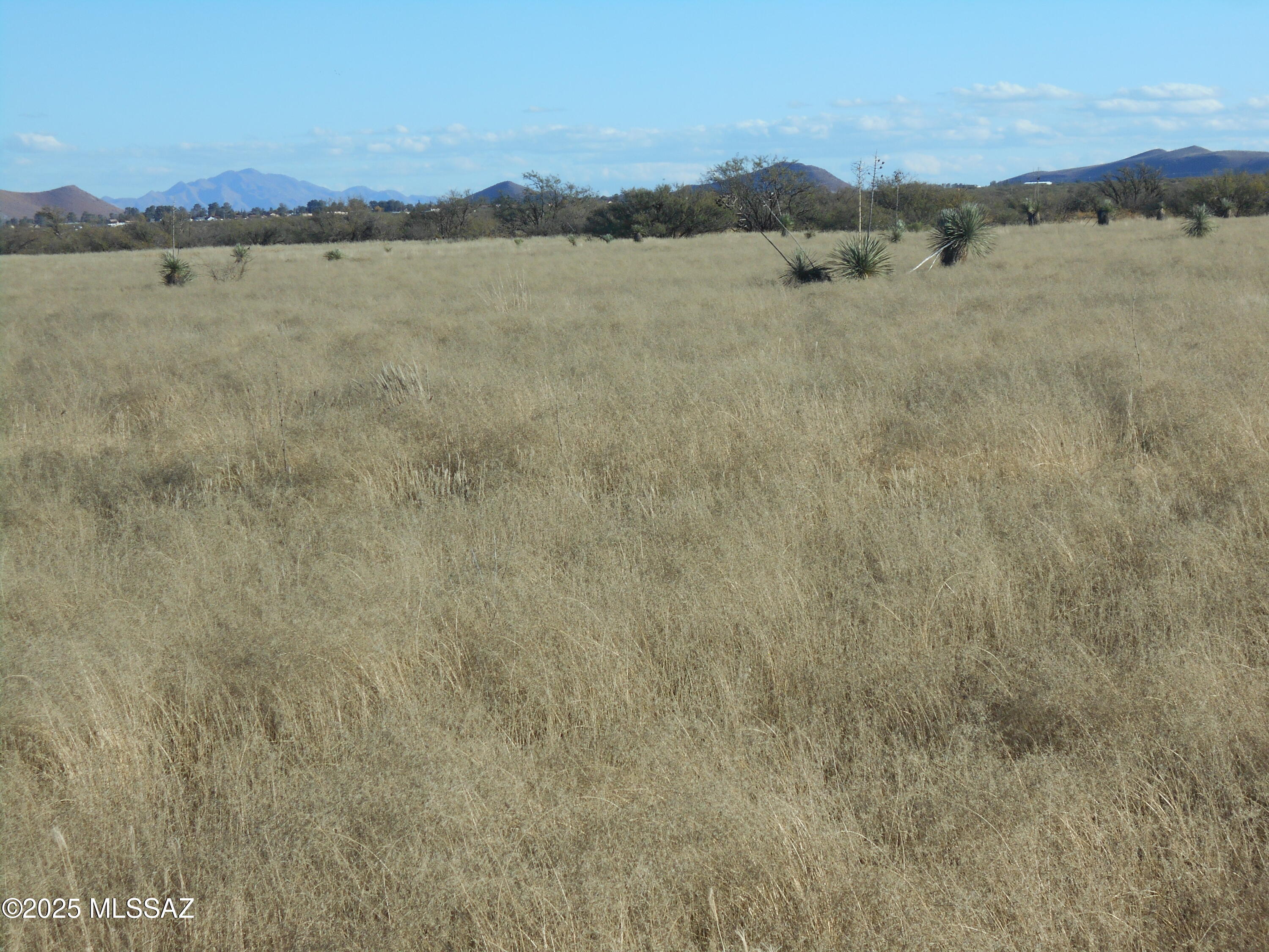 4.25-acres Eastland Road, Unit 8 Cochise, AZ 85606 - Photo 3 of 35