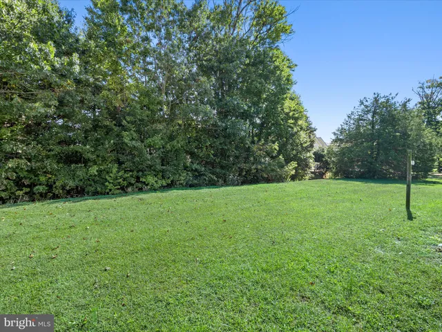 a view of a house with backyard and a cabin