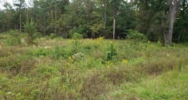0 Edgefield Road North Augusta, SC 29860 - Photo 1 of 1 Main View