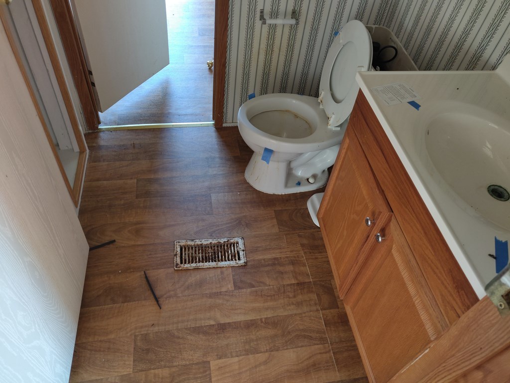 411 Scott Road Elko, GA 31025 - Photo 13 of 27 a bathroom with a sink and a toilet