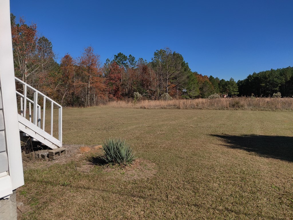 411 Scott Road Elko, GA 31025 - Photo 3 of 27 a view of a lake with a mountain in the background