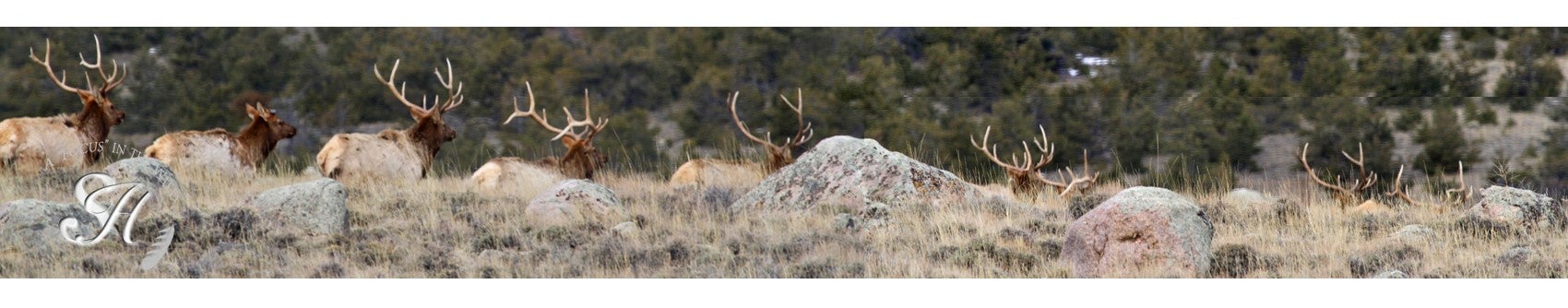 Tbd Tbd Ranger Way Red Lodge, MT 59068 - Photo 37 of 37 Gallery Image 37