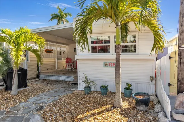 a view of a potted plants next to a road