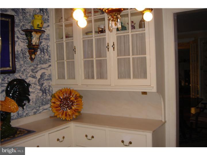 1025 Coates Road Jenkintown, PA 19046 - Photo 12 of 23 a bathroom with a sink and a mirror
