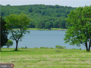 291 Creek Road Doylestown, PA 18901 - Photo 2 of 6 a view of a field of grass and trees