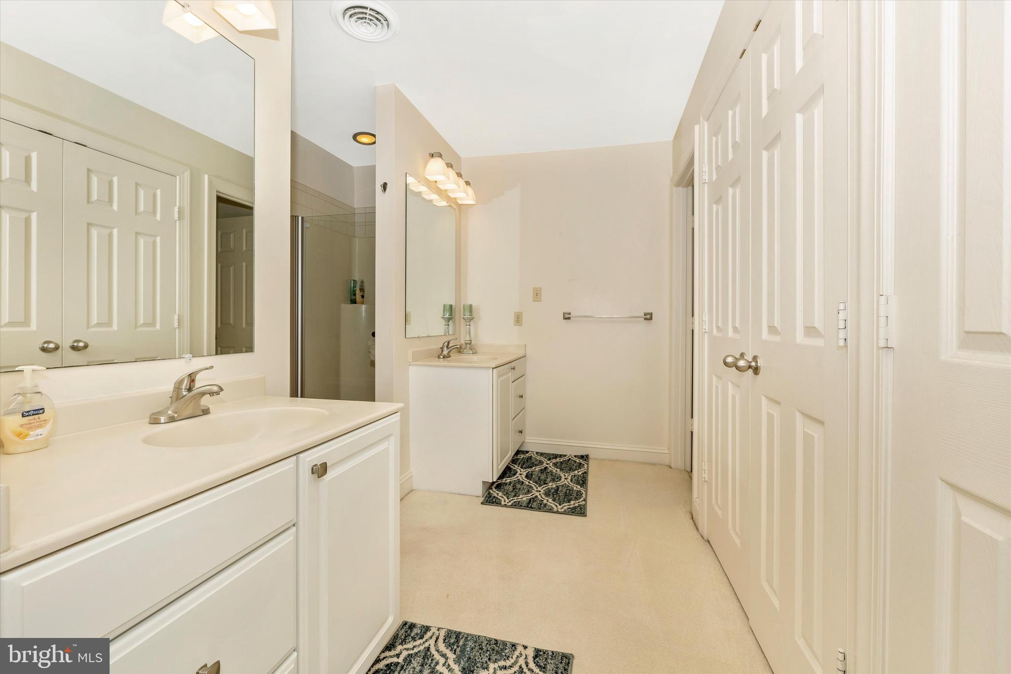 6799 Balmoral Ridge New Market, MD 21774 - Photo 18 of 39 Primary Bathroom