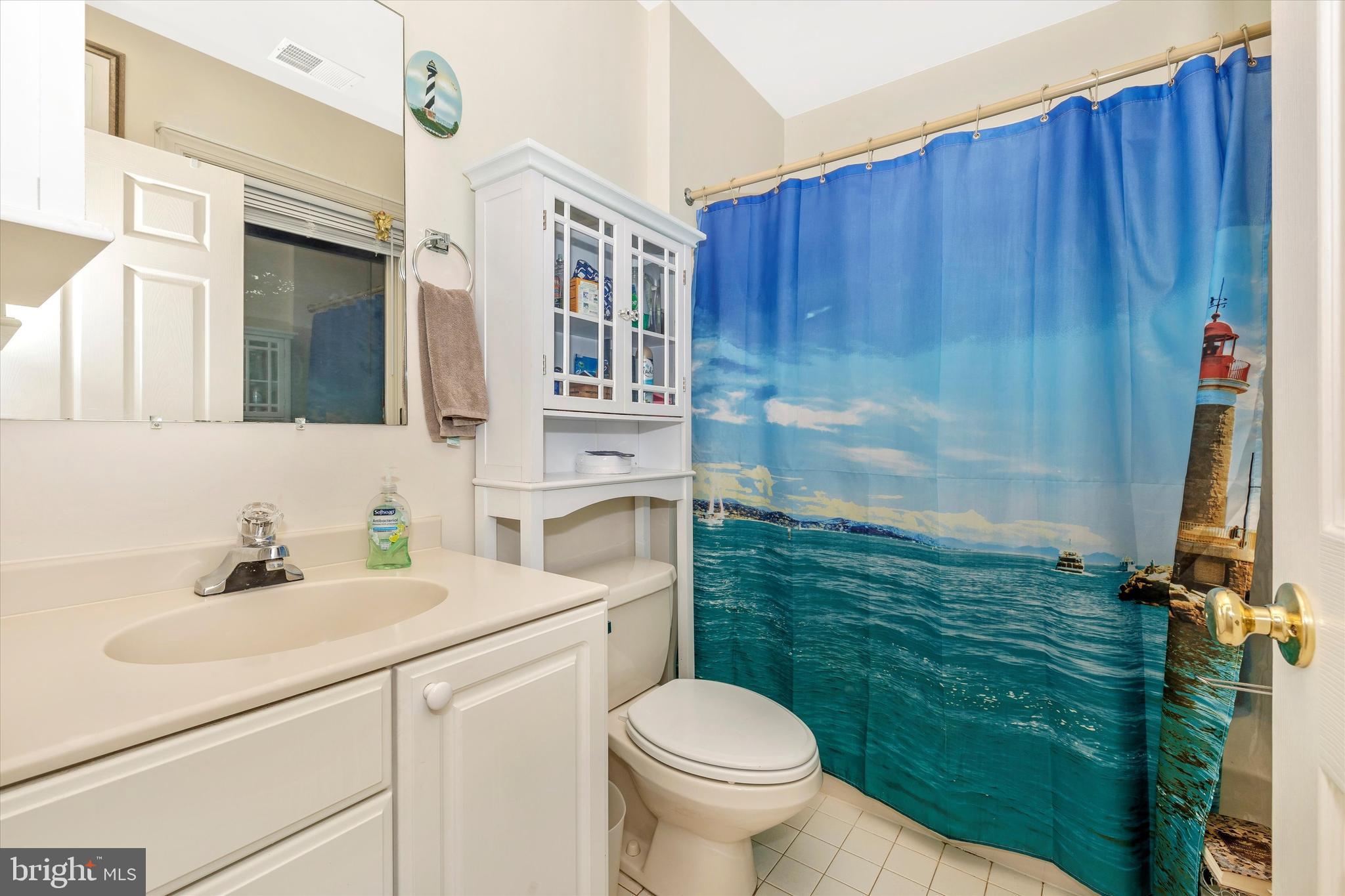 6799 Balmoral Ridge New Market, MD 21774 - Photo 25 of 39 Lower Level Full Bath