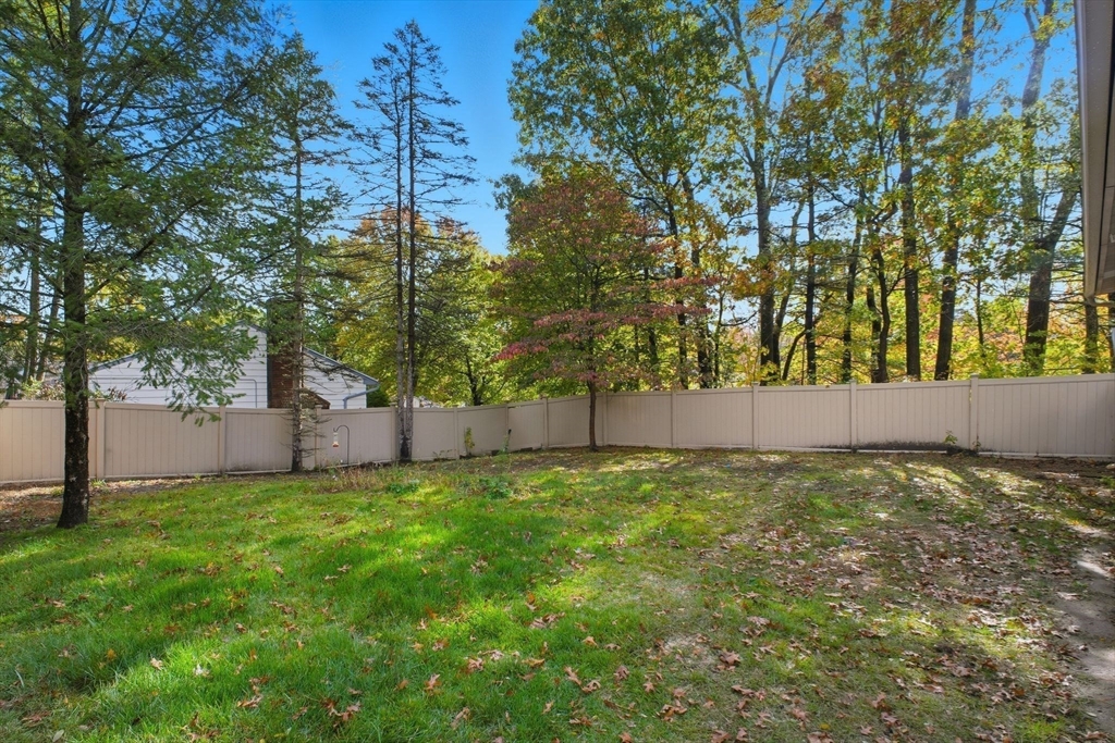 382 North Brook Road Springfield, MA 01119 - Photo 30 of 31 a view of yard