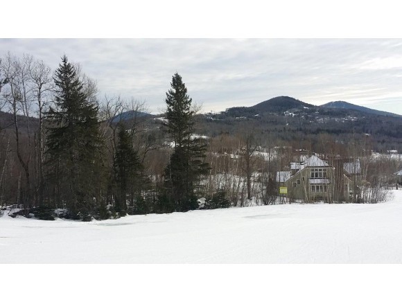 17 East Field Road Jackson, NH 03846 - Photo 20 of 20