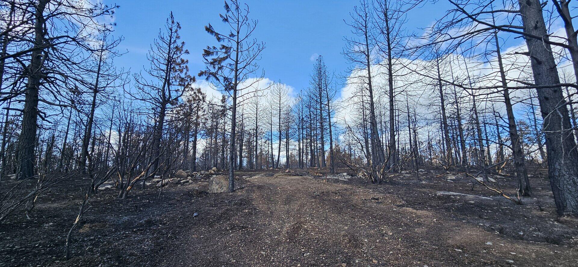 Mockingbird Drive, Unit 394530 Bonanza, OR 97623 - Photo 8 of 12 20240321_111135