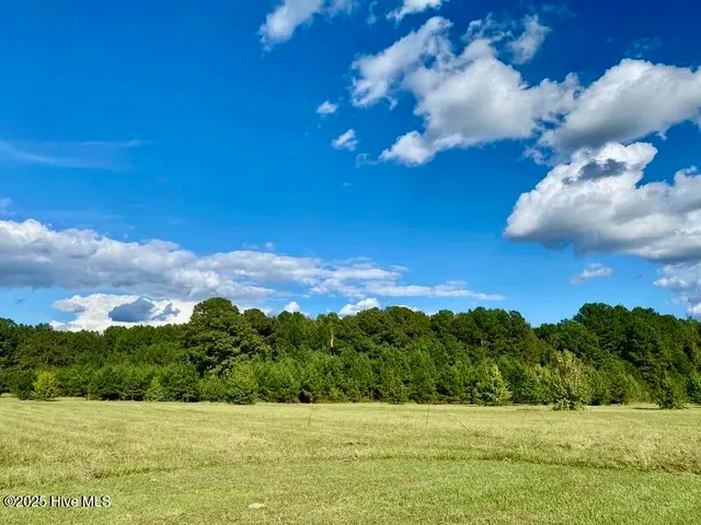 $763,900 | Tbd Sandhill Road, Rockingham, NC 28379