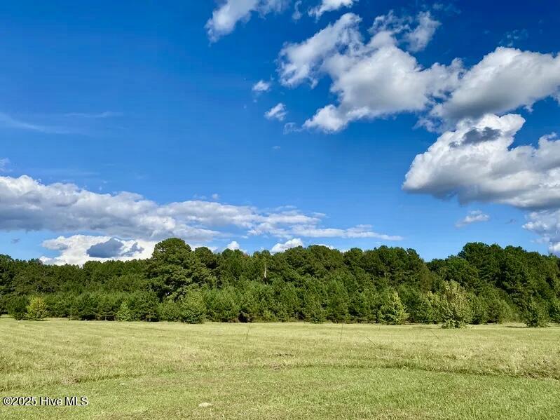 Tbd Sandhill Road Rockingham, NC 28379 - Photo 5 of 19 #6