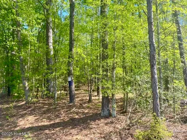 $763,900 | Tbd Sandhill Road, Rockingham, NC 28379