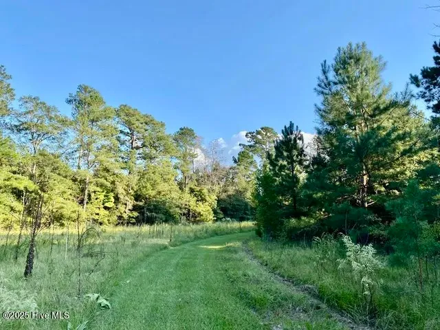 $763,900 | Tbd Sandhill Road, Rockingham, NC 28379