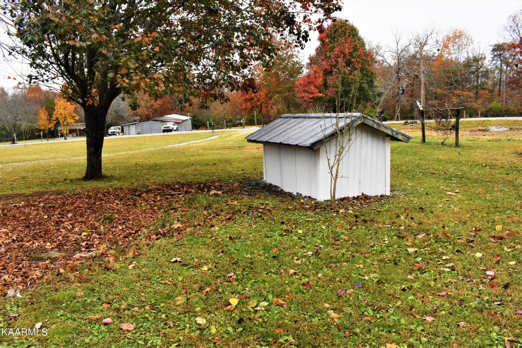 419 Stone Loop Crossville, TN 38571 - Photo 42 of 46 a fire hydrant in the middle of a field