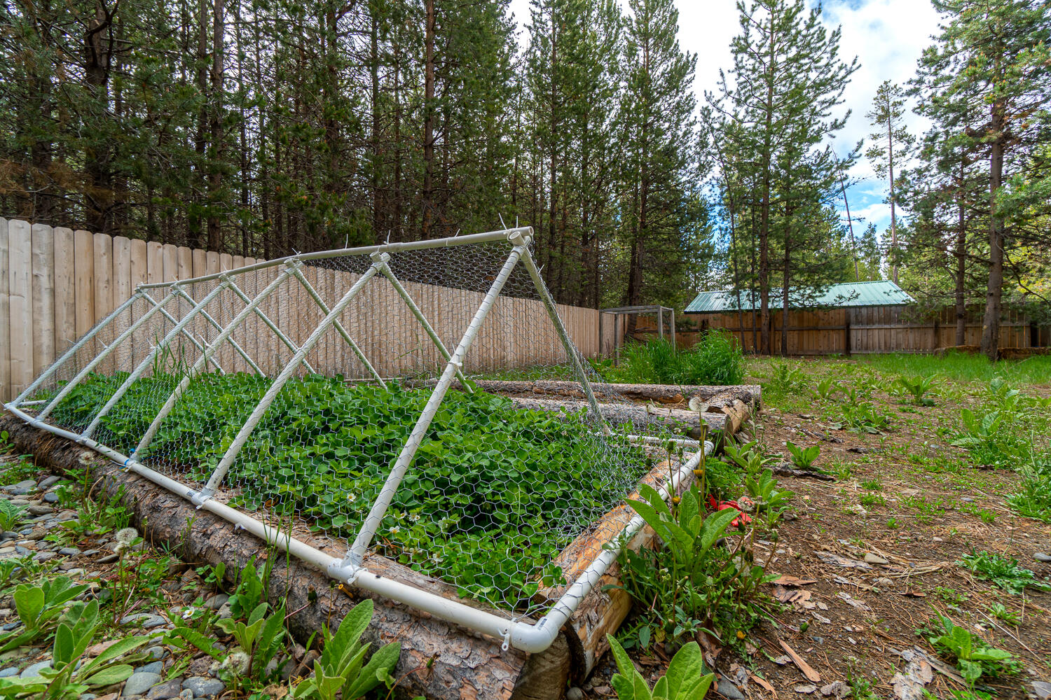 56256 Eider Road Bend, OR 97707 - Photo 15 of 29 56256-018