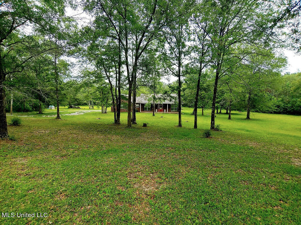 23220 Red Bluff Road Moss Point, MS 39562 - Photo 1 of 6 00