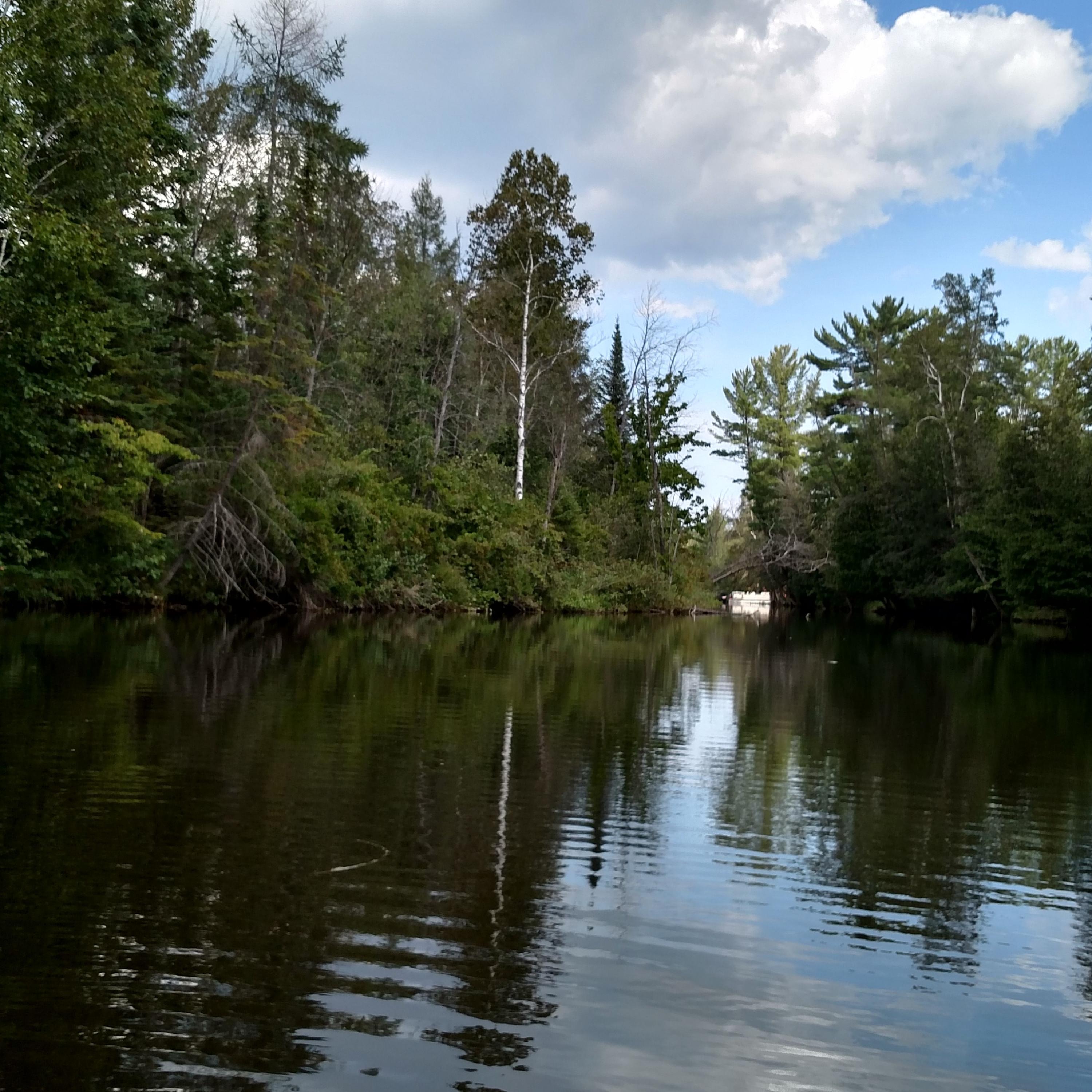 Nhn Bolton Road Posen, MI 49776 - Photo 4 of 13 Gallery Image 4