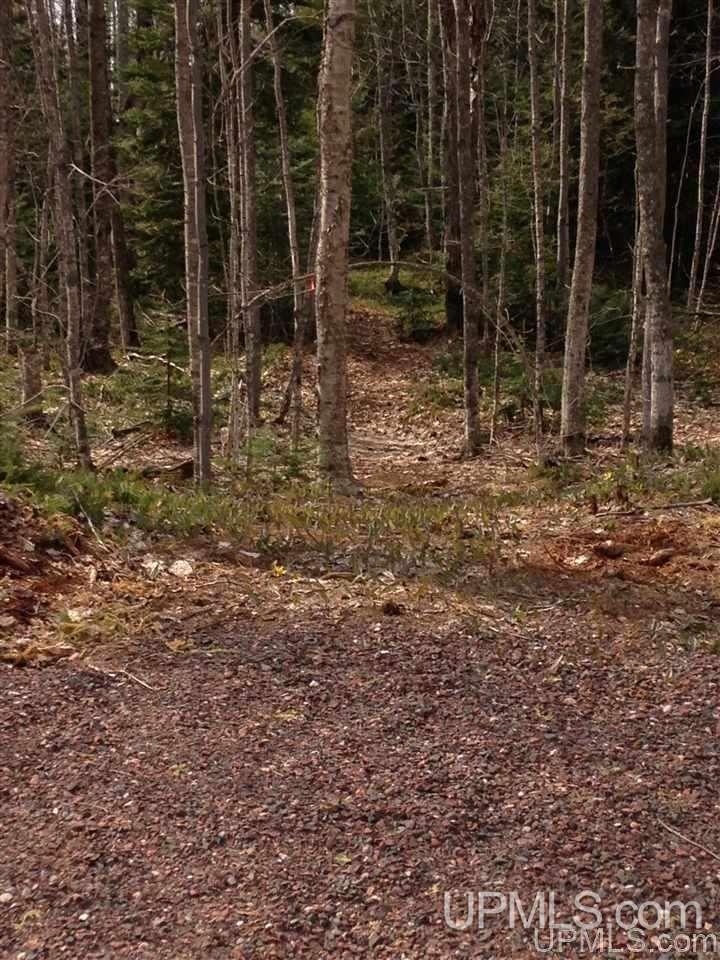 42157 Ten Mile Point Road Ontonagon, MI 49953 - Photo 3 of 8 Gallery Image 3