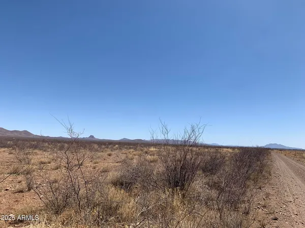 a view of a mountain