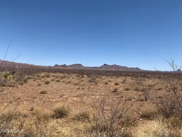 $10,800 | 10 Parcels -cochise College Park, Unit 3926, Douglas, AZ 85607