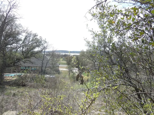 a view of a forest with trees in front of it
