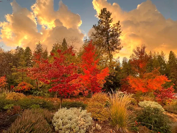 $549,000 | 1412 Sandalwood Drive, Murphys, CA 95247