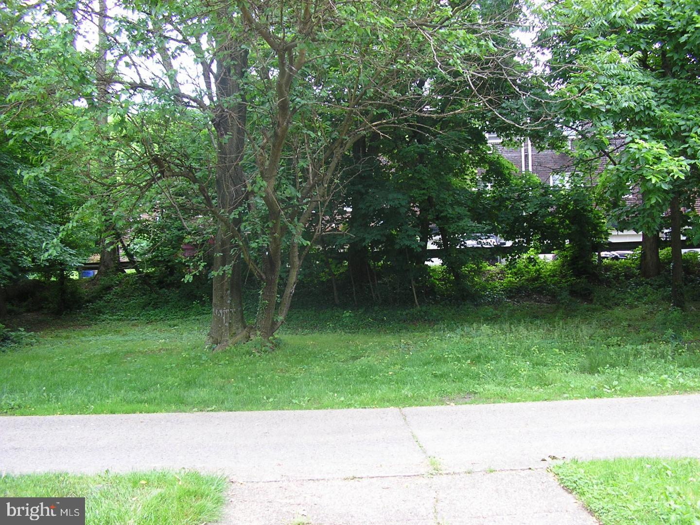 2708 West Country Club Road Philadelphia, PA 19131 - Photo 18 of 18 Back Yard