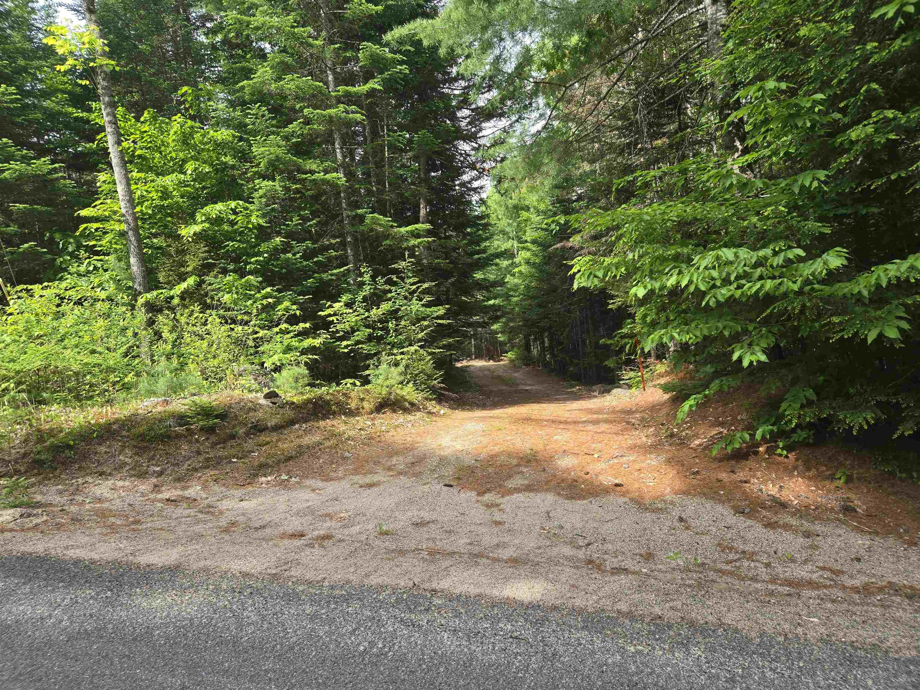 0 Thorn Hill Road, Unit R148B Jackson, NH 03846 - Photo 3 of 21
