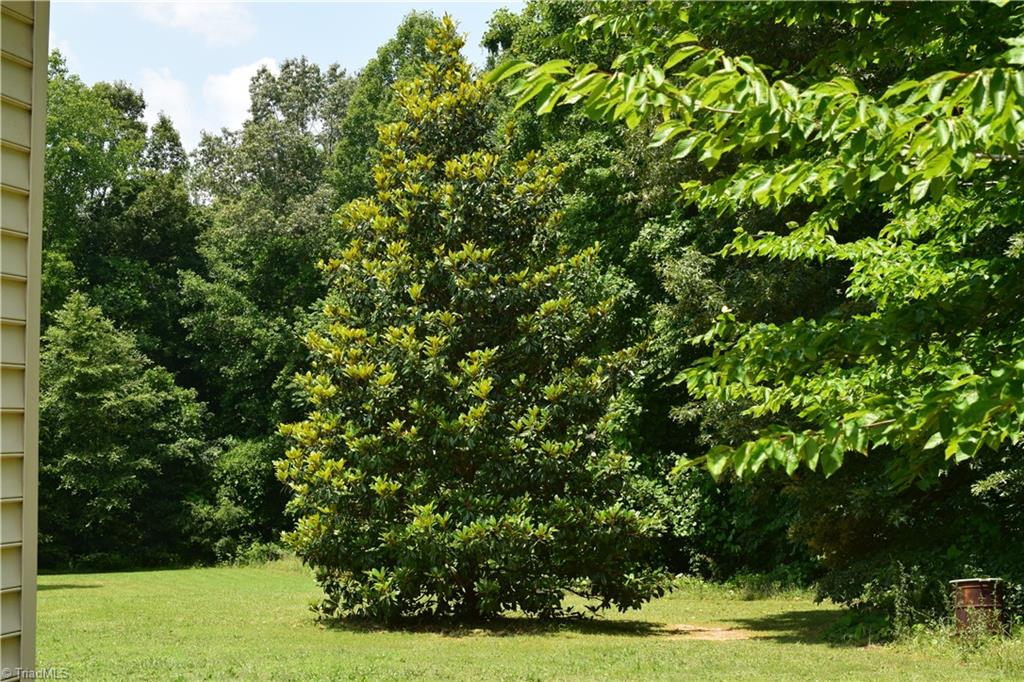 368 Webb Road Madison, NC 27025 - Photo 6 of 28