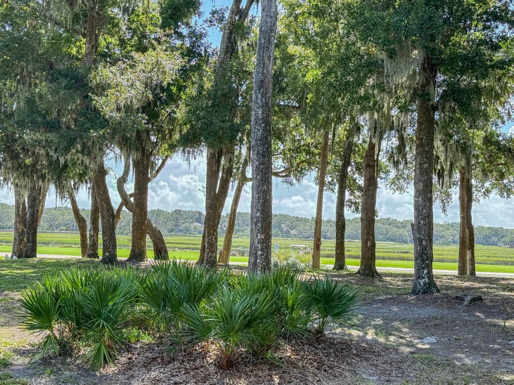 3052 Sea Marsh Road Fernandina Beach, FL 32034 - Photo 40 of 41 a view of outdoor space and yard
