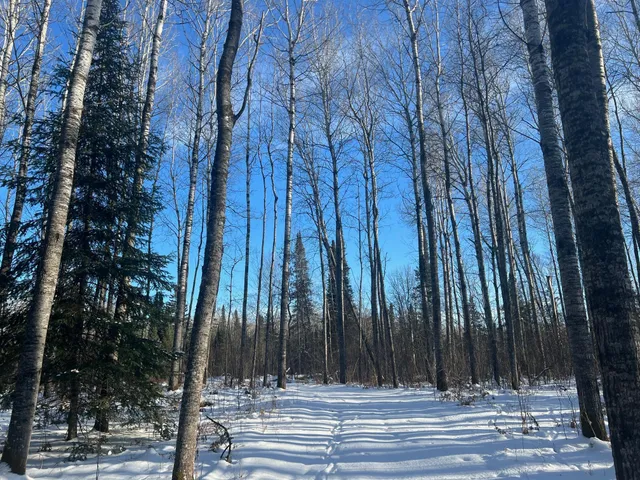 $219,900 | 2194 North Yoki Road, Forbes, MN 55738