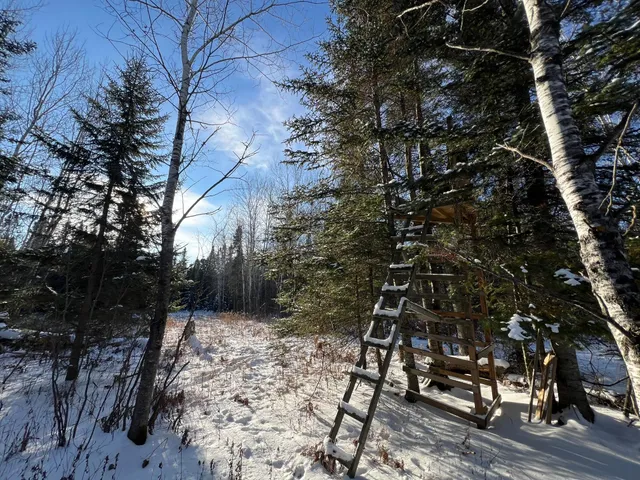 $219,900 | 2194 North Yoki Road, Forbes, MN 55738