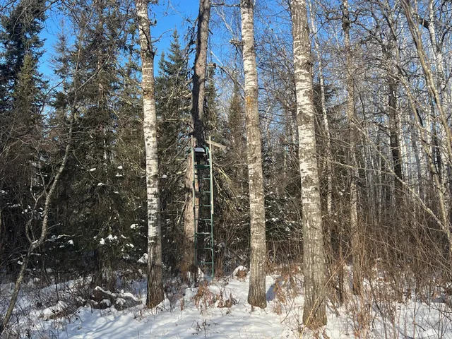 $219,900 | 2194 North Yoki Road, Forbes, MN 55738