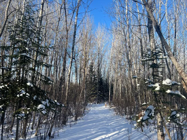 $219,900 | 2194 North Yoki Road, Forbes, MN 55738