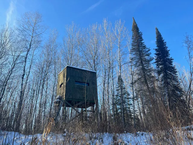 $219,900 | 2194 North Yoki Road, Forbes, MN 55738