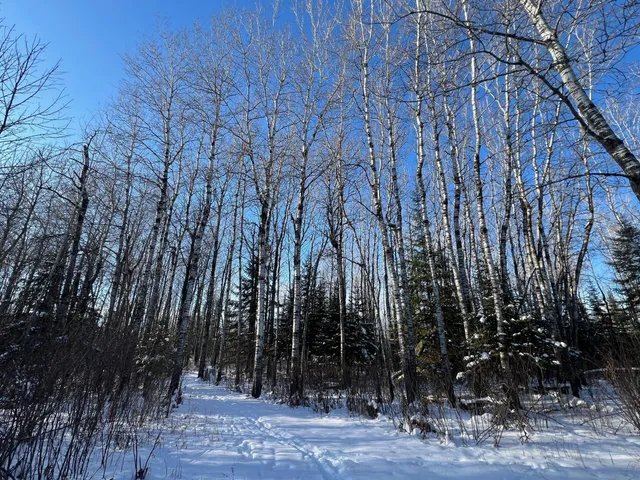 $219,900 | 2194 North Yoki Road, Forbes, MN 55738