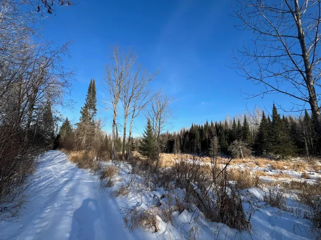 $219,900 | 2194 North Yoki Road, Forbes, MN 55738