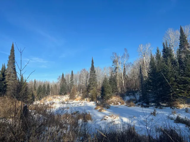 $219,900 | 2194 North Yoki Road, Forbes, MN 55738