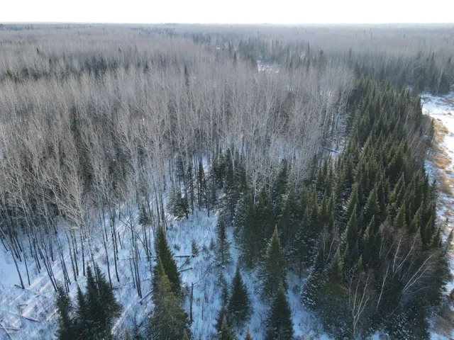 $219,900 | 2194 North Yoki Road, Forbes, MN 55738