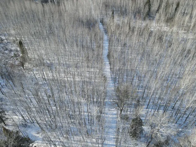 $219,900 | 2194 North Yoki Road, Forbes, MN 55738