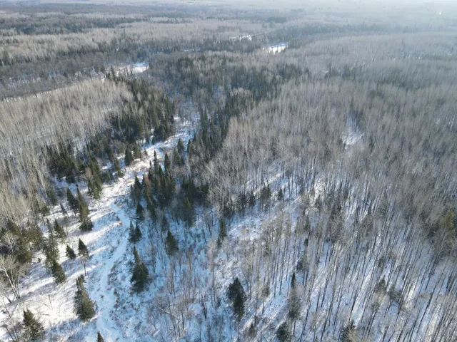 $219,900 | 2194 North Yoki Road, Forbes, MN 55738