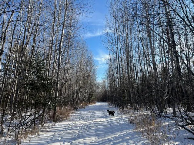 $219,900 | 2194 North Yoki Road, Forbes, MN 55738