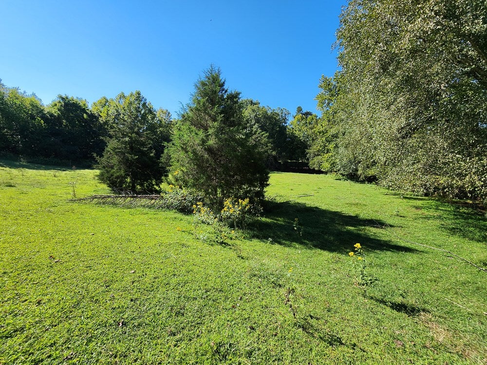 4465 Harmony Road Long Island, VA 24569 - Photo 23 of 51 Gallery Image 23