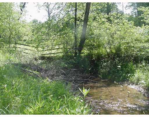 676 Callery Road Evans City, PA 16033 - Photo 14 of 18 Land. Creek runs through the back side of the property.