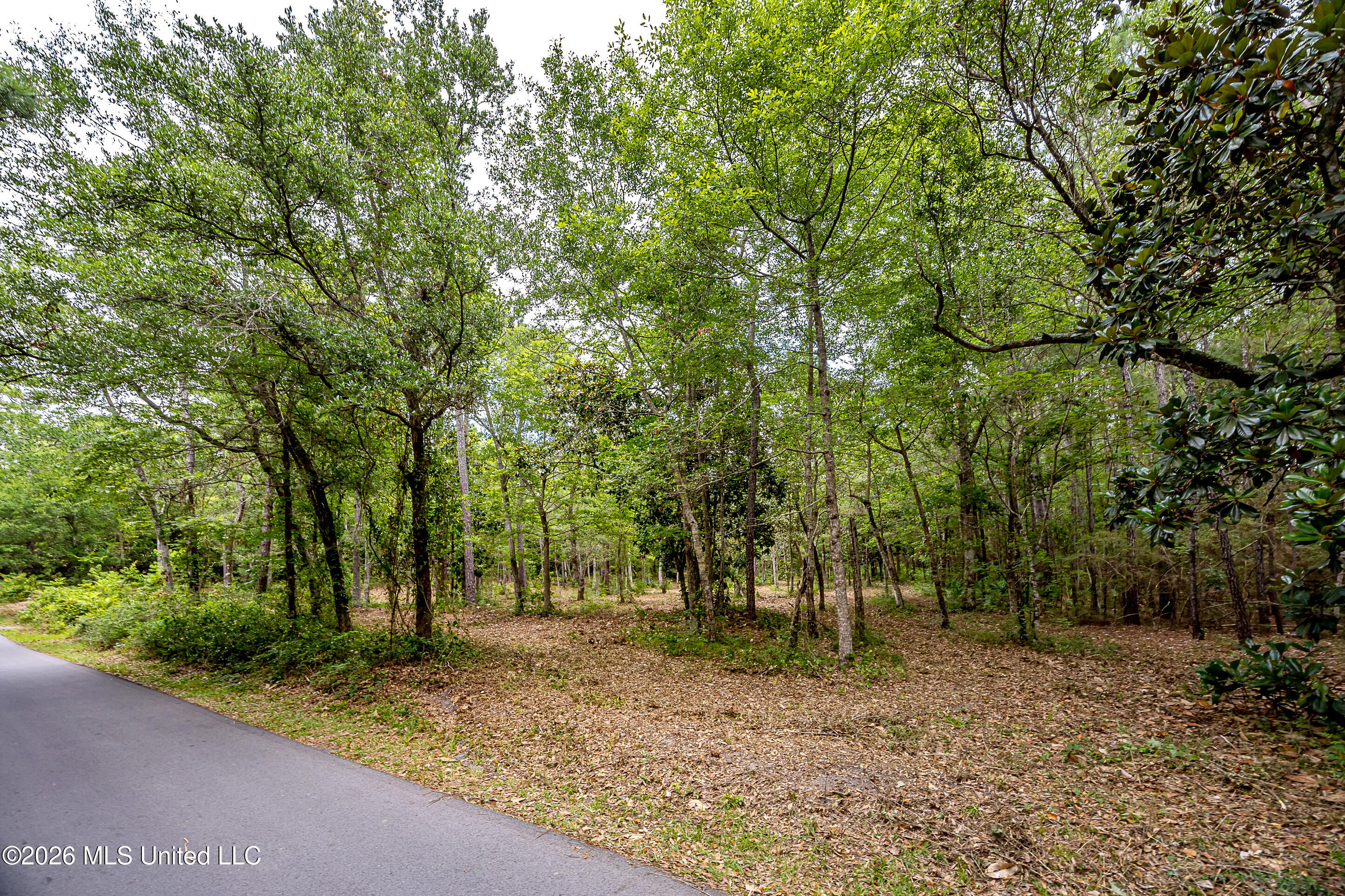 0 Eagle Point Road Ocean Springs, MS 39564 - Photo 6 of 48 IMG_9776